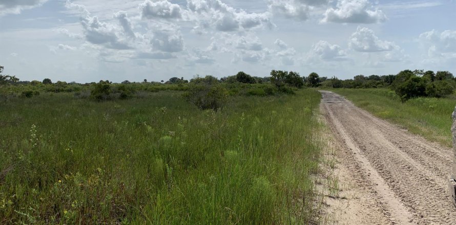 Terrain à Okeechobee, Floride № 728843