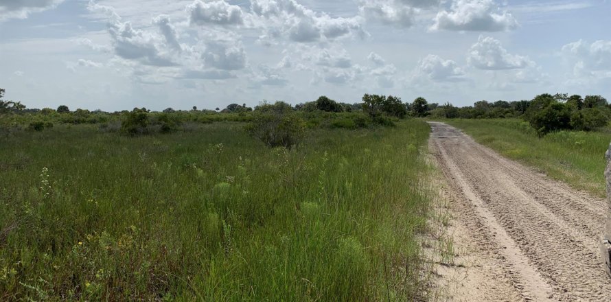 Terreno en Okeechobee, Florida № 728843