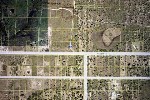 Terrain à vendre à Okeechobee, Floride № 728843 - photo 8