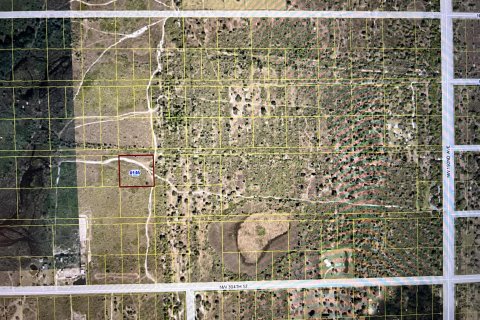 Terrain à vendre à Okeechobee, Floride № 728843 - photo 7