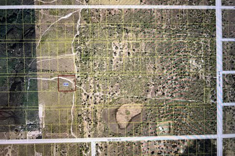 Land in Okeechobee, Florida № 728843 - photo 7