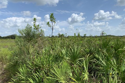 Terrain à vendre à Okeechobee, Floride № 728843 - photo 3