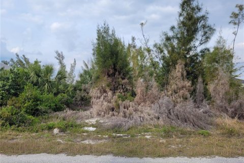 Land in Port Charlotte, Florida № 1217883 - photo 1