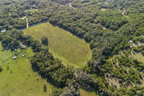 Terreno en venta en Hawthorne, Florida № 1402003 - foto 6