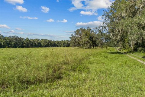 Terreno en venta en Hawthorne, Florida № 1402003 - foto 4