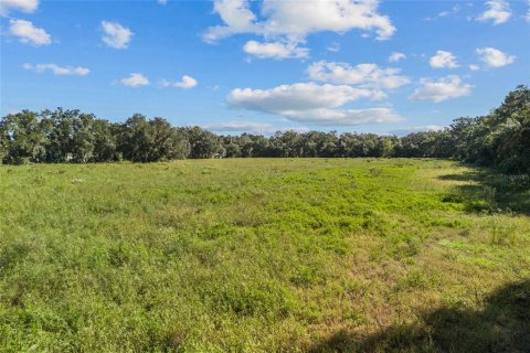 Terreno en venta en Hawthorne, Florida № 1402003 - foto 5