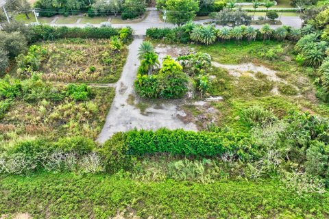 Land in Delray Beach, Florida № 932190 - photo 3