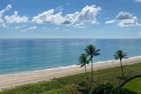 Copropriété à vendre à Palm Beach, Floride: 2 chambres, 156.26 m2 № 1172220 - photo 6