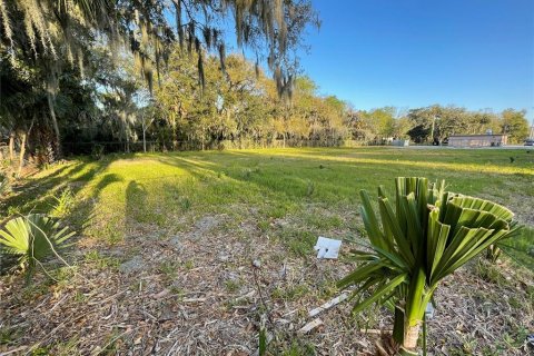 Land in Daytona Beach, Florida № 1304411 - photo 4