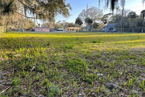 Terreno en venta en Daytona Beach, Florida № 1304411 - foto 7