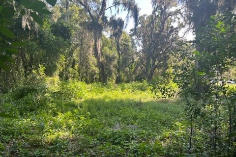 Terrain à vendre à Tampa, Floride № 1317853 - photo 6