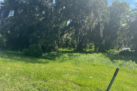 Terreno en venta en Tampa, Florida № 1317853 - foto 7