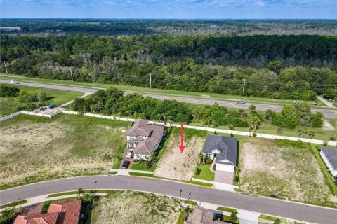 Terreno en venta en Palm Coast, Florida № 1317851 - foto 5