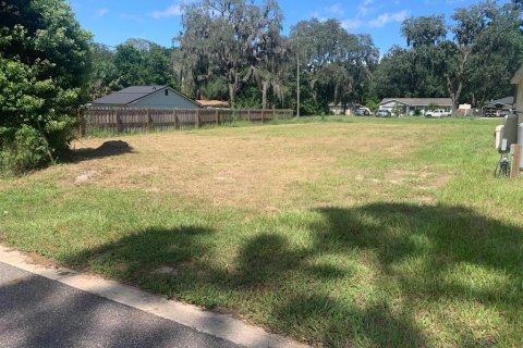 Land in Apopka, Florida № 1354940 - photo 7