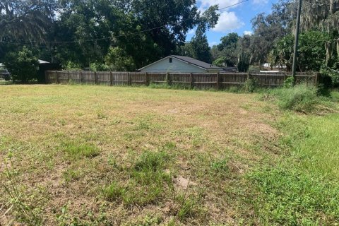 Land in Apopka, Florida № 1354940 - photo 3