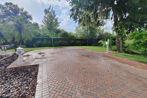 Terreno en venta en Land O' Lakes, Florida № 1354939 - foto 5