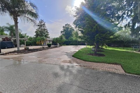 Terreno en venta en Land O' Lakes, Florida № 1354939 - foto 7