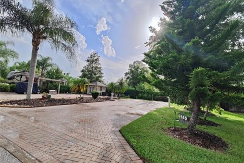 Terreno en venta en Land O' Lakes, Florida № 1354939 - foto 1