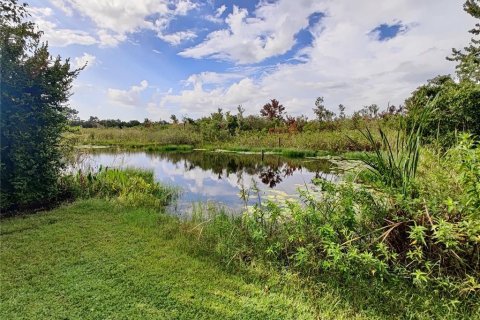 Terreno en venta en Land O' Lakes, Florida № 1354939 - foto 10