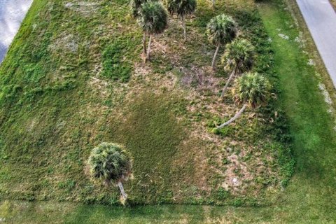 Terrain à vendre à Rotonda, Floride № 288832 - photo 5