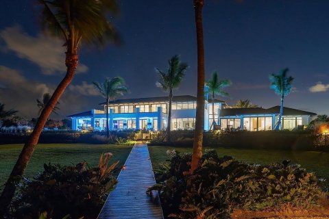Villa ou maison à vendre à Stuart, Floride: 5 chambres, 1078.22 m2 № 310161 - photo 3