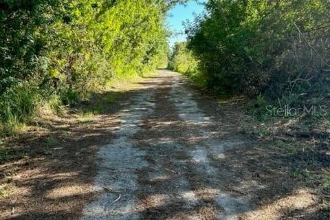 Terreno en venta en Edgewater, Florida № 1196335 - foto 8