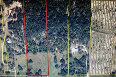 Terreno en venta en Arcadia, Florida № 1375302 - foto 1