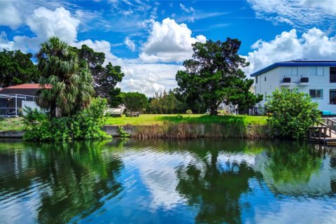 Land in Hernando Beach, Florida № 1361845 - photo 20