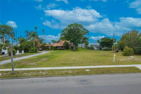 Купить земельный участок в Сарасота, Флорида № 950483 - фото 6