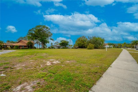 Купить земельный участок в Сарасота, Флорида № 950483 - фото 7