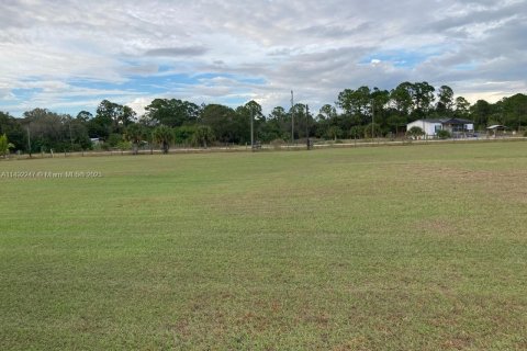 Terrain à vendre à Clewiston, Floride № 863351 - photo 3