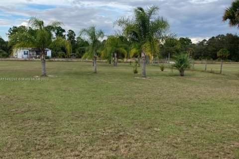 Terrain à vendre à Clewiston, Floride № 863351 - photo 2