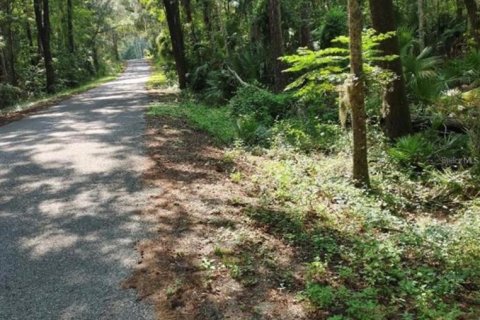 Land in Micanopy, Florida № 1297513 - photo 1