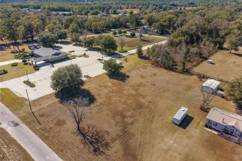 Terrain à vendre à Ocala, Floride № 1150507 - photo 6