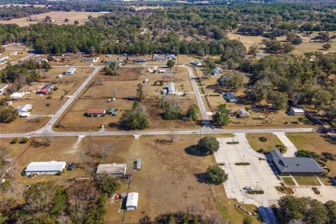 Land in Ocala, Florida № 1150507 - photo 9