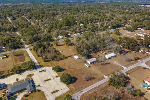 Terrain à vendre à Ocala, Floride № 1150507 - photo 8