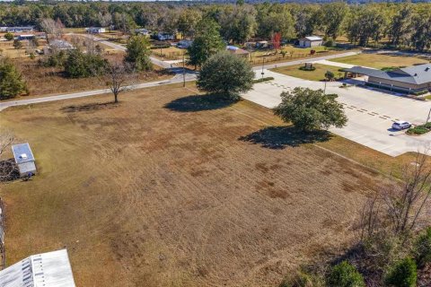 Terreno en venta en Ocala, Florida № 1150507 - foto 5