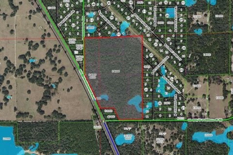 Land in Crystal River, Florida № 1340702 - photo 2