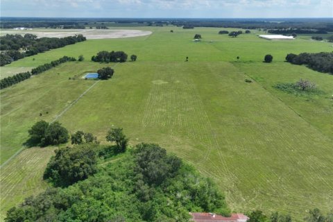 Terreno en venta en Lake Panasoffkee, Florida № 1340266 - foto 5