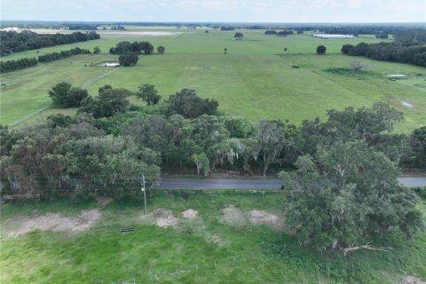 Terreno en venta en Lake Panasoffkee, Florida № 1340266 - foto 4