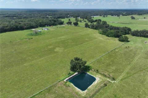 Terreno en venta en Lake Panasoffkee, Florida № 1340266 - foto 3