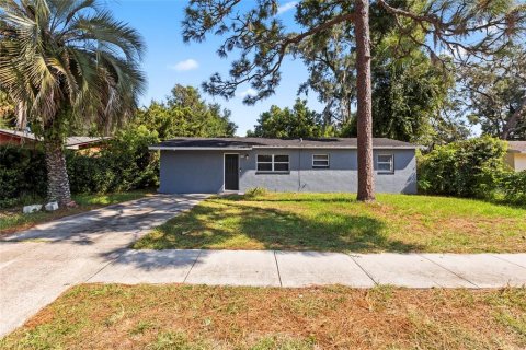 Villa ou maison à vendre à DeLand, Floride: 3 chambres, 102.38 m2 № 1341419 - photo 1