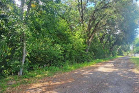 Terreno en venta en Lakeland, Florida № 1312023 - foto 3