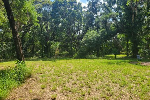 Terreno en venta en Lakeland, Florida № 1312023 - foto 4