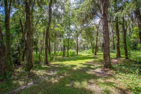 Terreno en venta en Riverview, Florida № 1351145 - foto 2