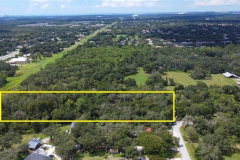 Land in Riverview, Florida № 1351145 - photo 21