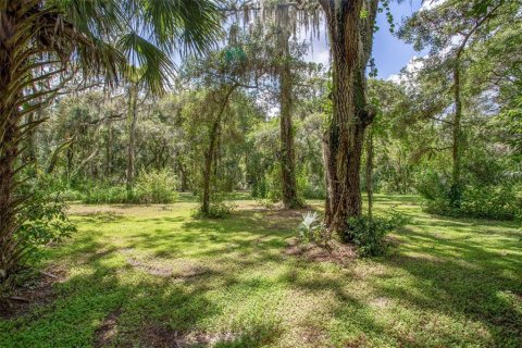 Land in Riverview, Florida № 1351145 - photo 4