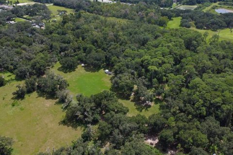 Land in Riverview, Florida № 1351145 - photo 16