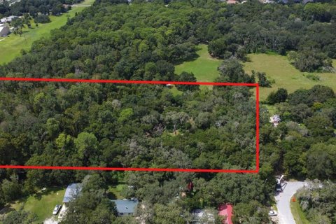 Land in Riverview, Florida № 1351145 - photo 27