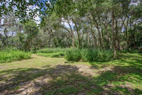 Land in Riverview, Florida № 1351145 - photo 5